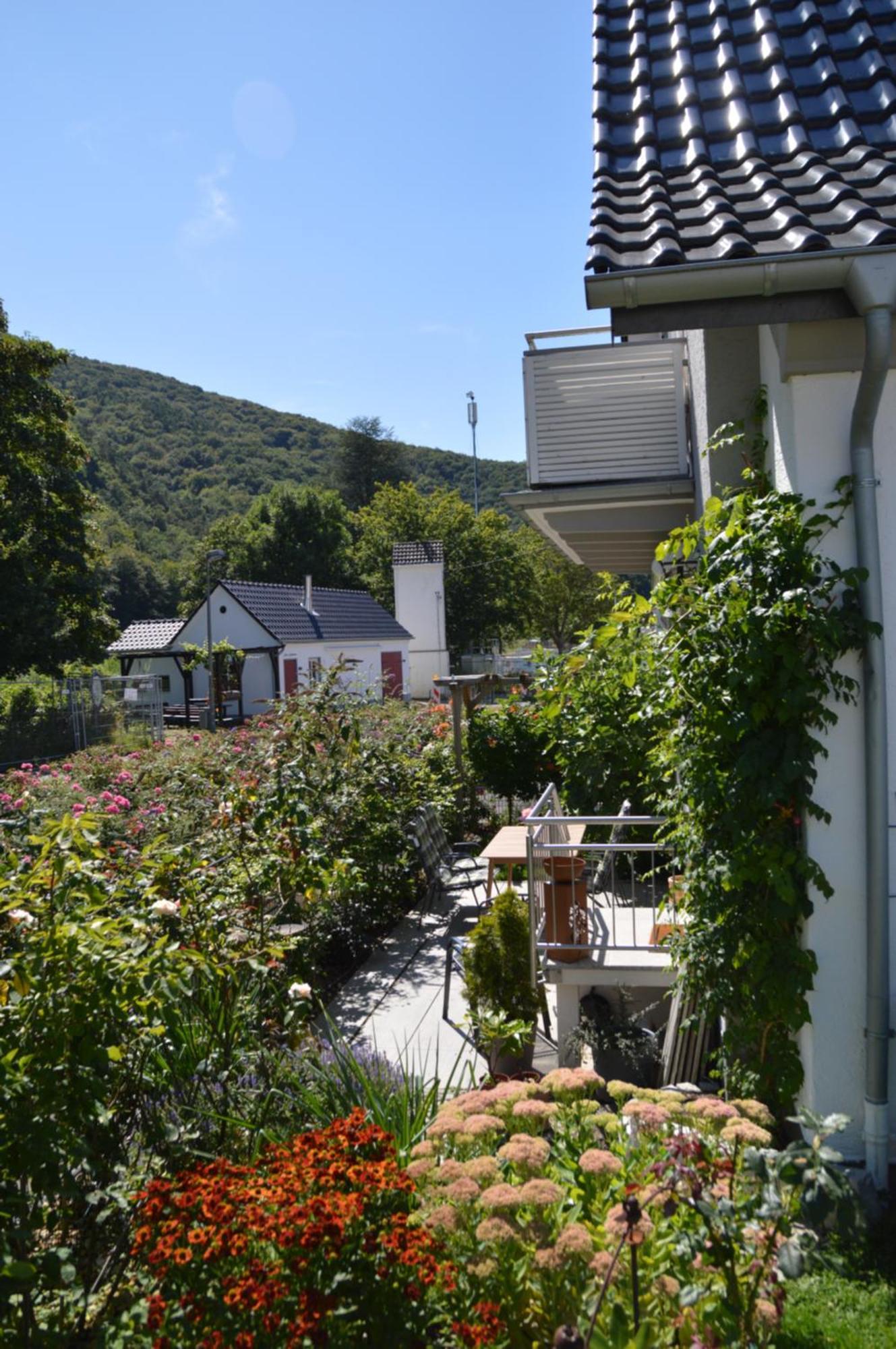 Ferienwohnung Hochgewaechs 바트노이에나르아르바일러 외부 사진